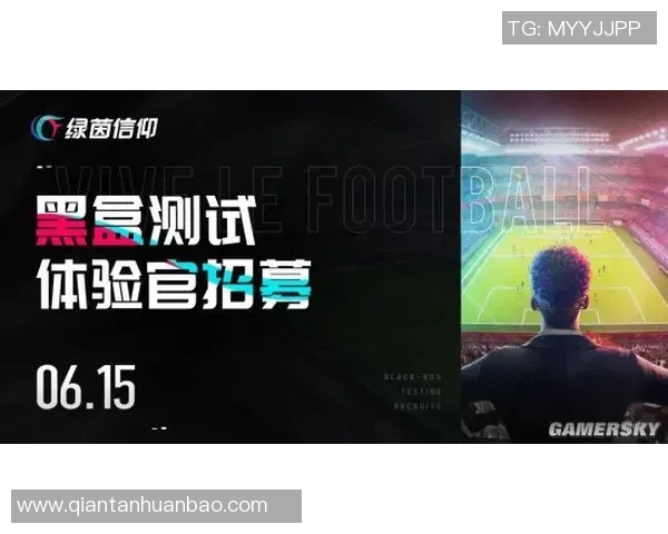 谢什科的传奇人生与足球旅程探秘：从草根到巨星的蜕变之路