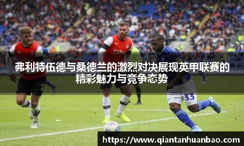 弗利特伍德与桑德兰的激烈对决展现英甲联赛的精彩魅力与竞争态势